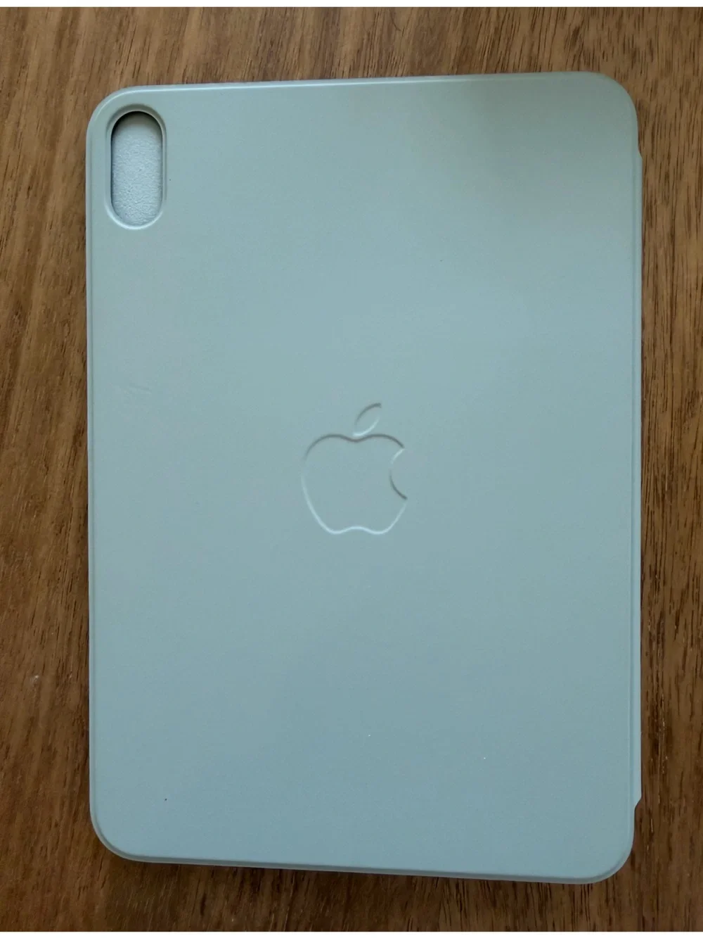 Smart Folio for iPad mini (A17 Pro) - Sage